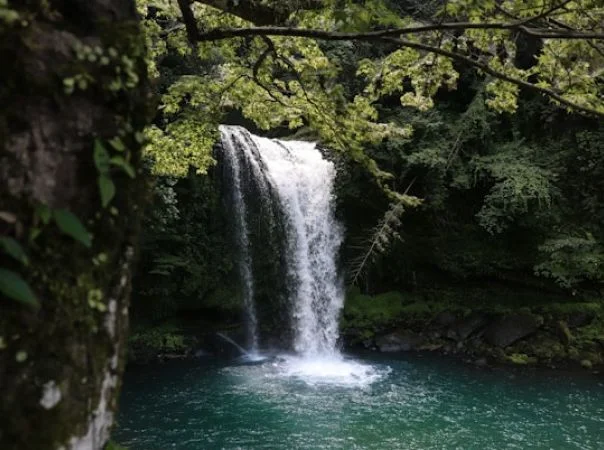 Waterfall cascading into a turquoise pool surrounded by trees.