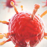 AVS Bio - Primary Cell Products