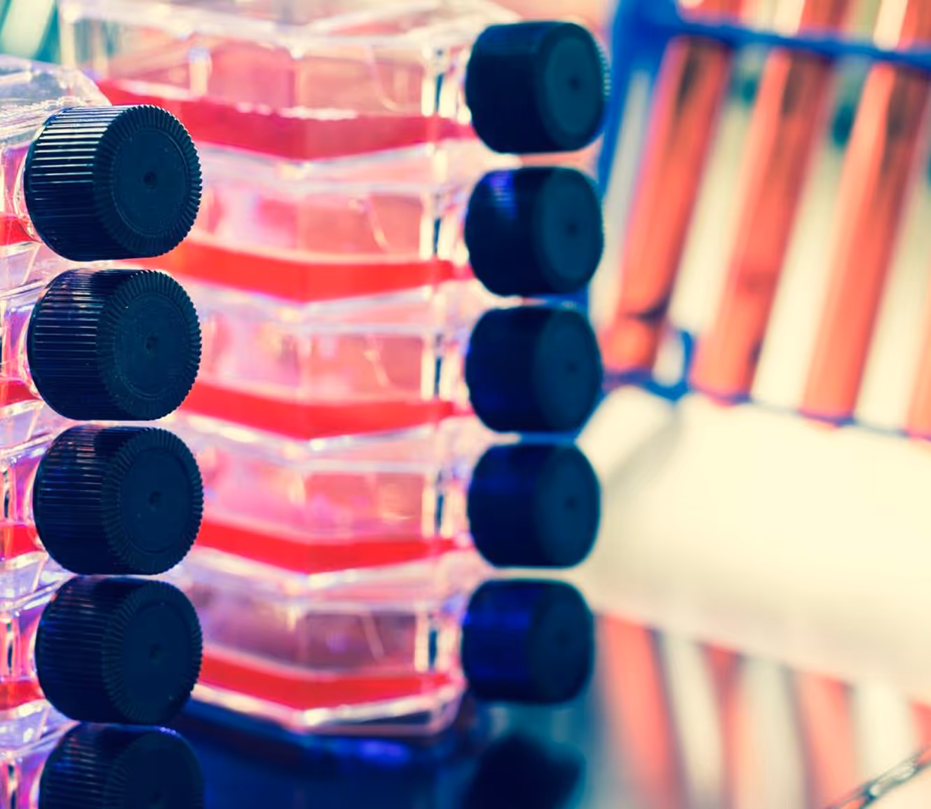 AVS Bio - USDA-licensed split manufacturing support (FFM)