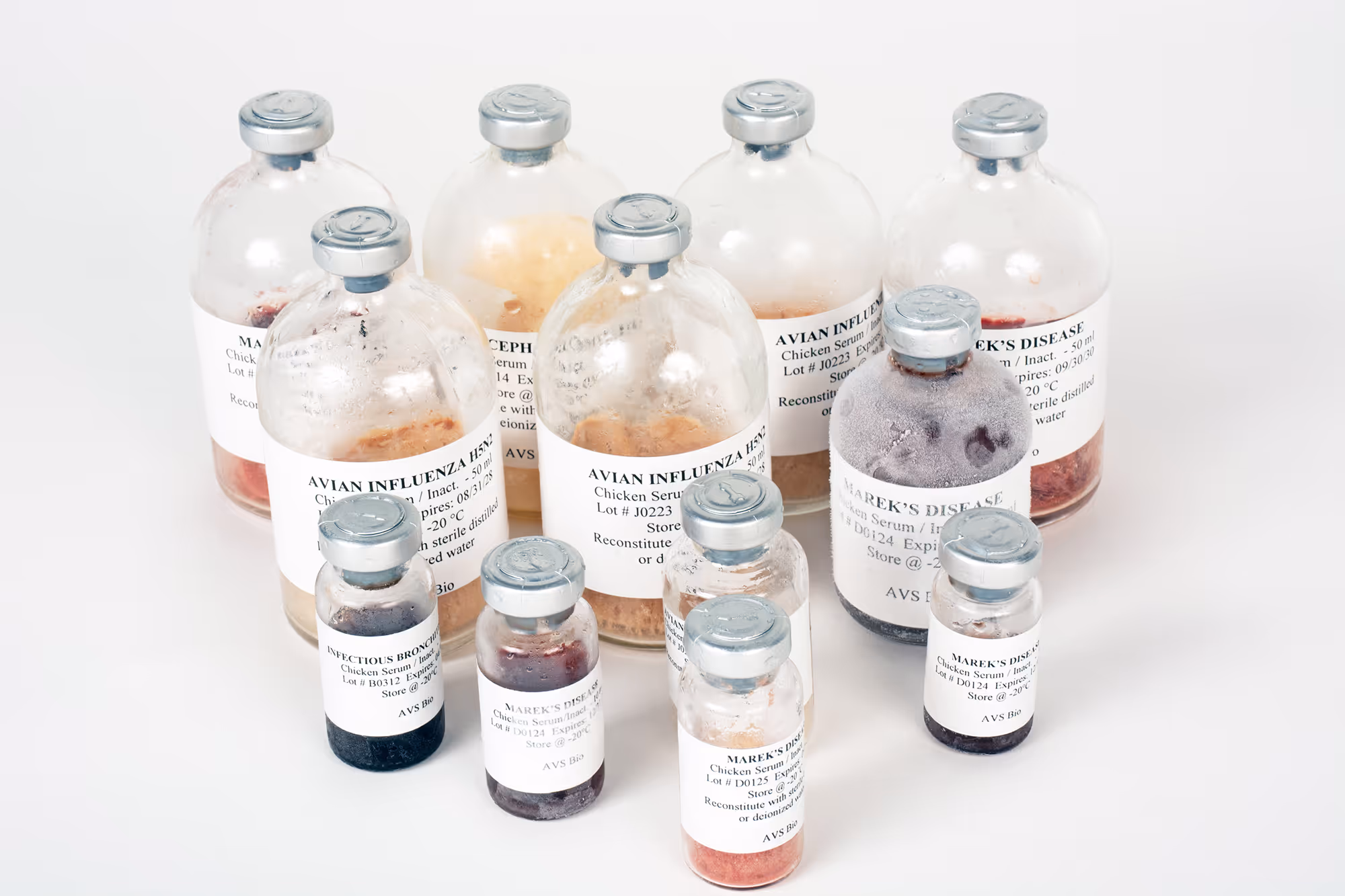 Glass vials of avian biological products and chicken serum labeled for Avian Influenza, Marek’s Disease, and Infectious Bronchitis by AVS Bio, arranged in rows on a white background.