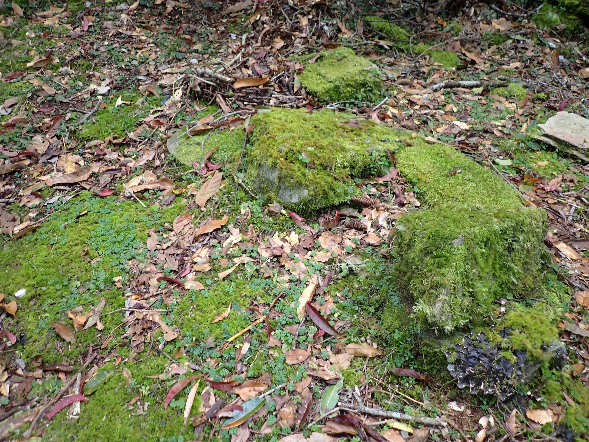 昔日族人打獵搭建獵寮之處的三石灶遺跡。