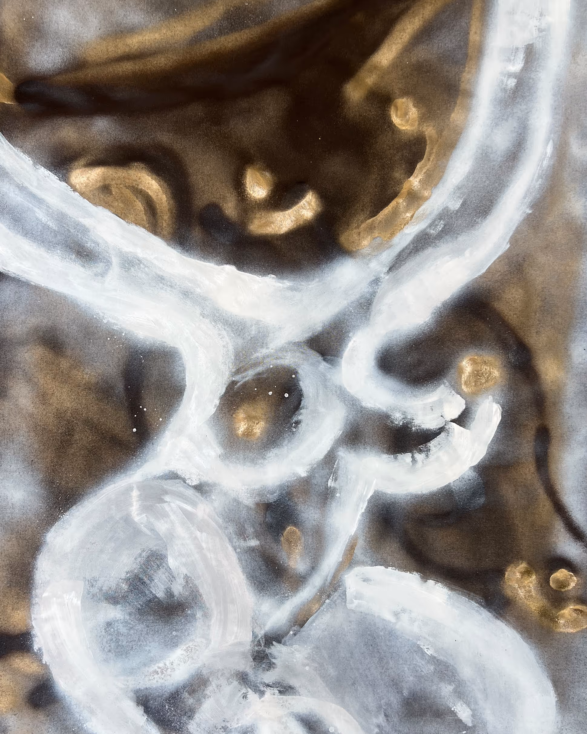 [background image] care facility (for a garment care service)