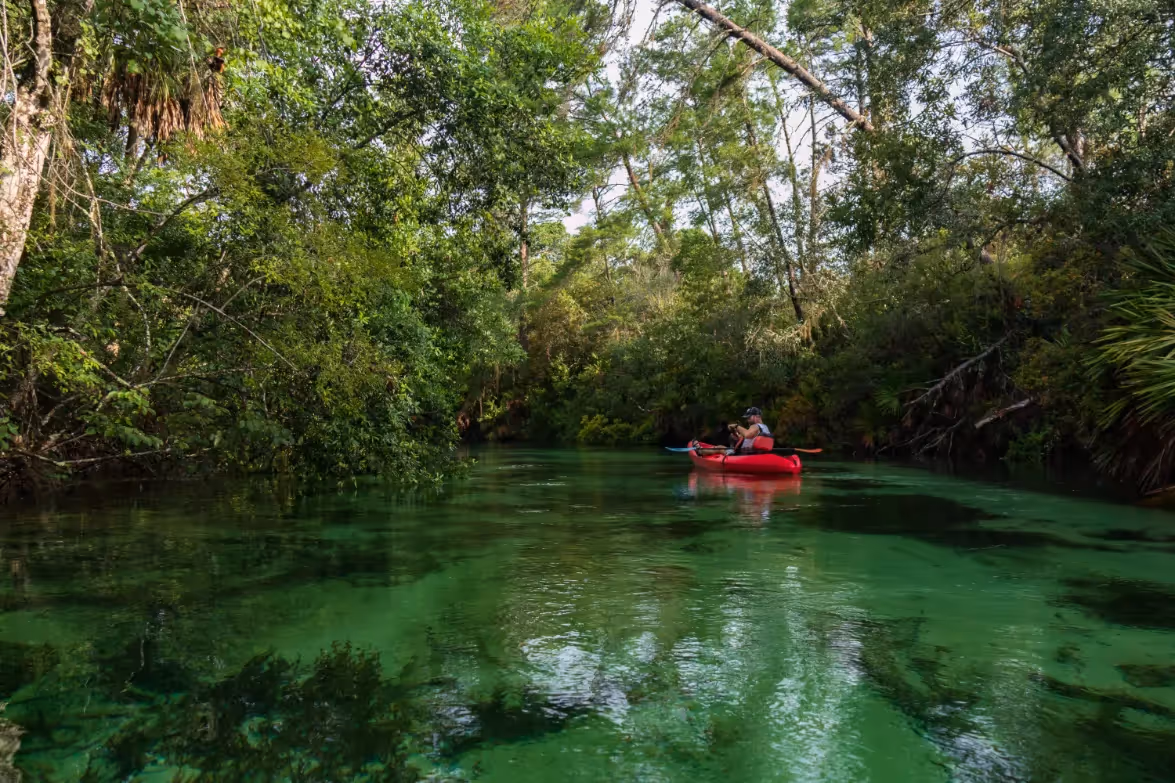 A person kayaking on a beautiful Weeki Wachee River surrounded by lush trees, depicting a local outdoor recreational opportunity near Magnolia at Spring Hill in Spring Hill, Florida.