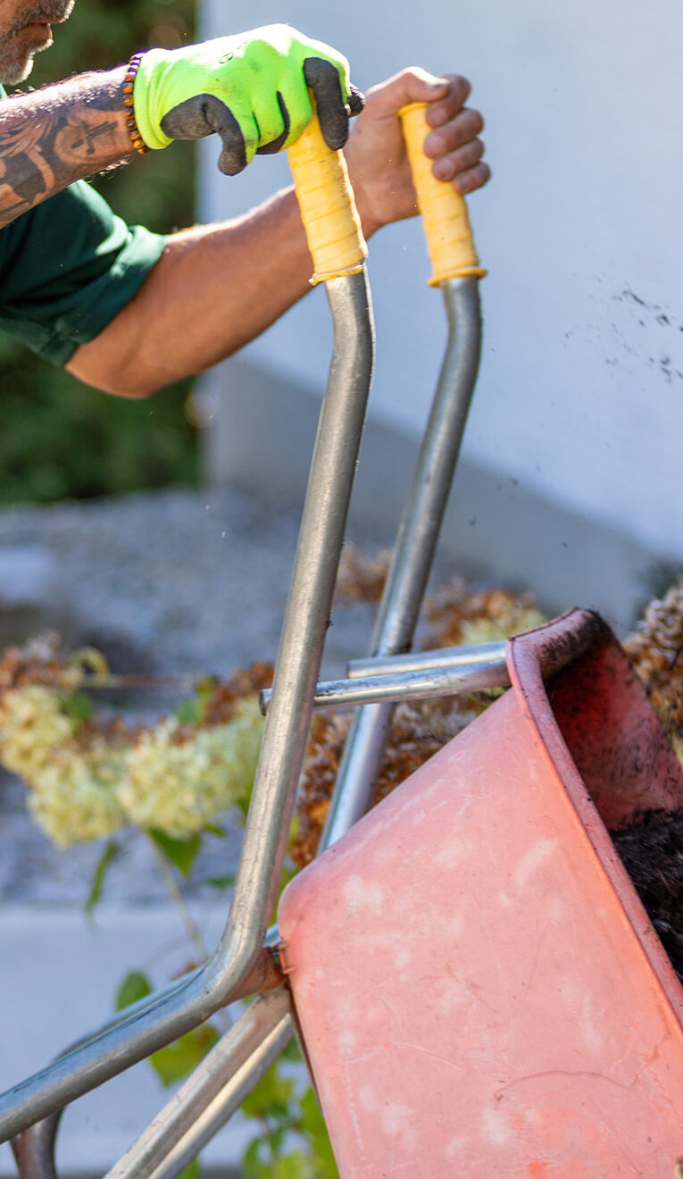 Close-up of a person wearing a green glove gripping yellow handles of a pink wheelbarrow loaded with soil.