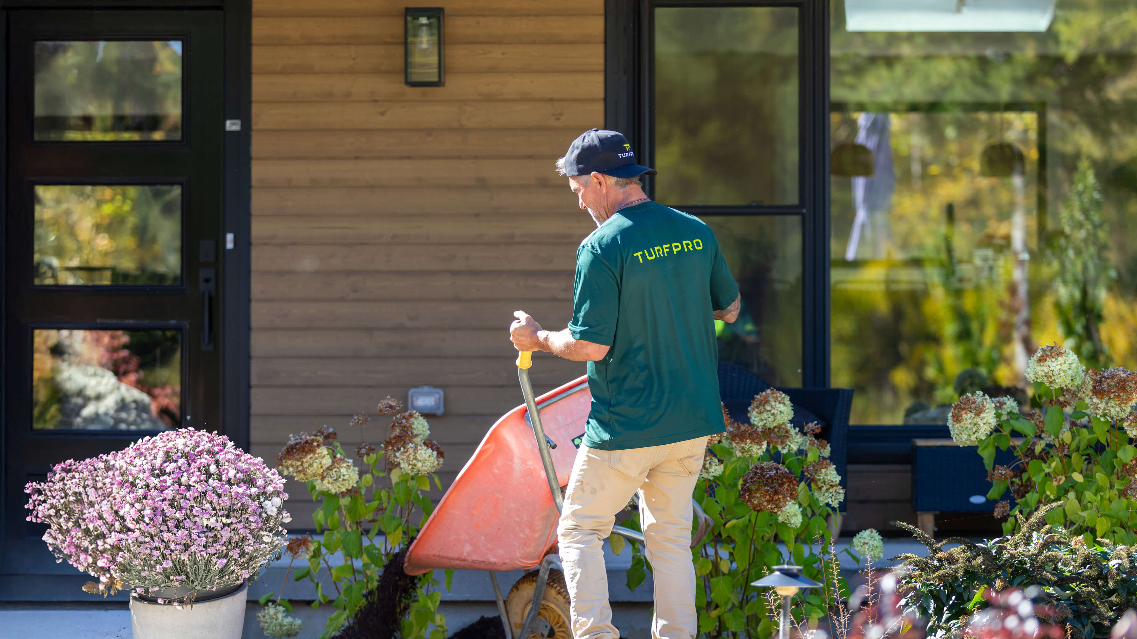 A landscaper wearing a green TURFPRO shirt and cap dumping soil from a red wheelbarrow onto a garden bed in front of a house with wooden siding.