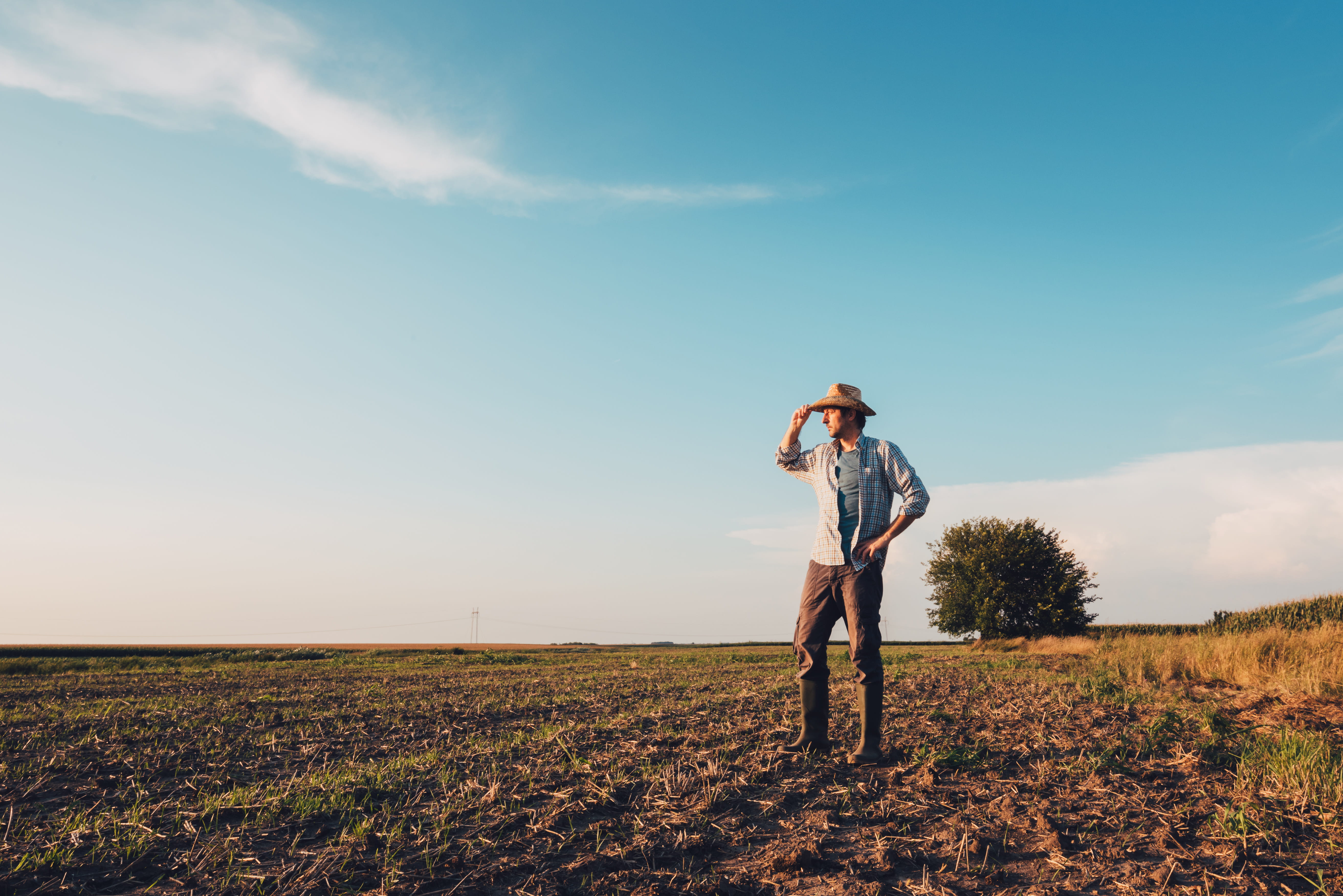 Gentleman in a field looking out into the distance.