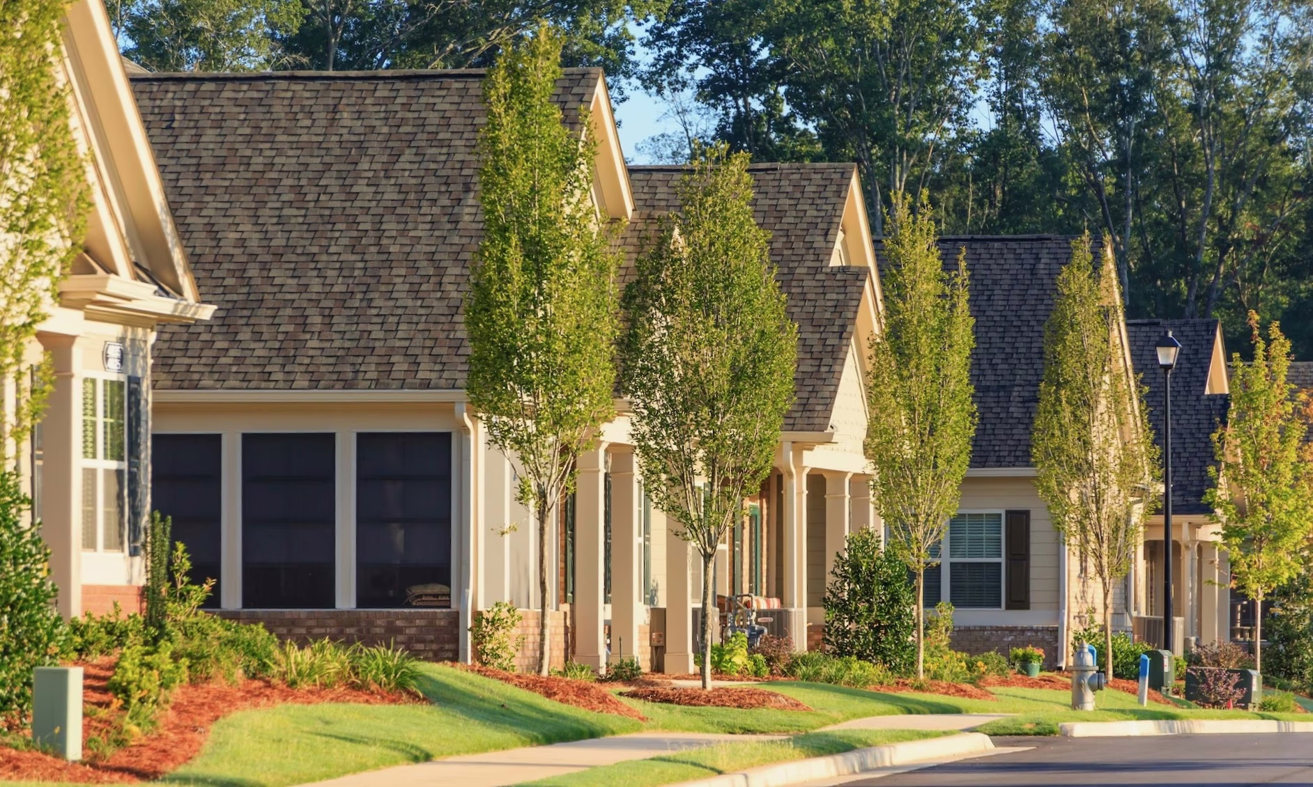 Row of suburban homes with young trees along the sidewalk