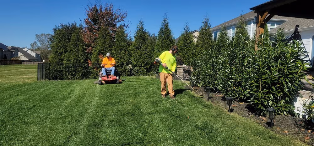 Two landscapers maintaining a yard.