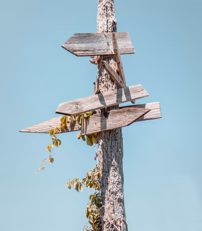 «Μια ξύλινη πινακίδα σε σταυροδρόμι με ταμπέλες που δείχνουν σε πολλές κατευθύνσεις, συμβολίζοντας τις επιλογές και την αλλαγή καριέρας.»