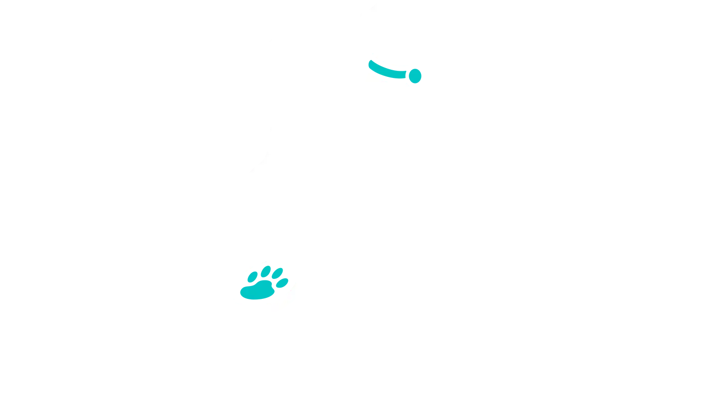 DoGone Fun Resort logo