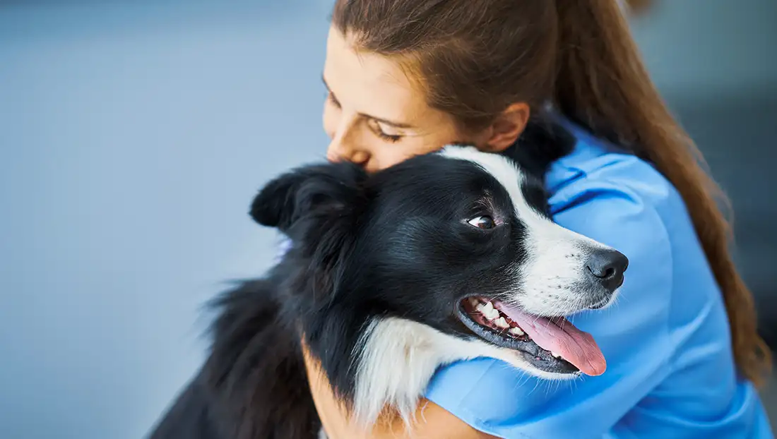 Stock photograph of a female nurse wearing white scrubs hugging a black and white dog