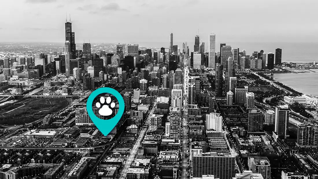black and white aerial photograph of the South Loop of Chicago with the Chicago skyline in the background, and a map pointer icon placed at the address of DoGone Fun Resort.