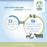 06a72976 d7ff 4147 900d 6c5b58d41bd4