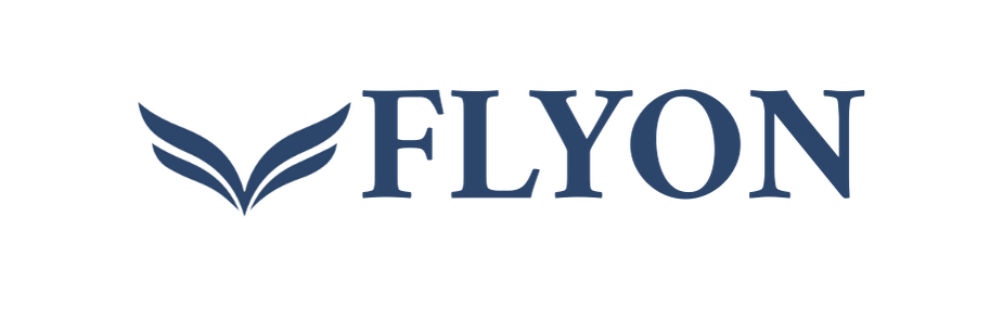 Branding Flyon : Création de l'identité graphique par High Level Media Solutions