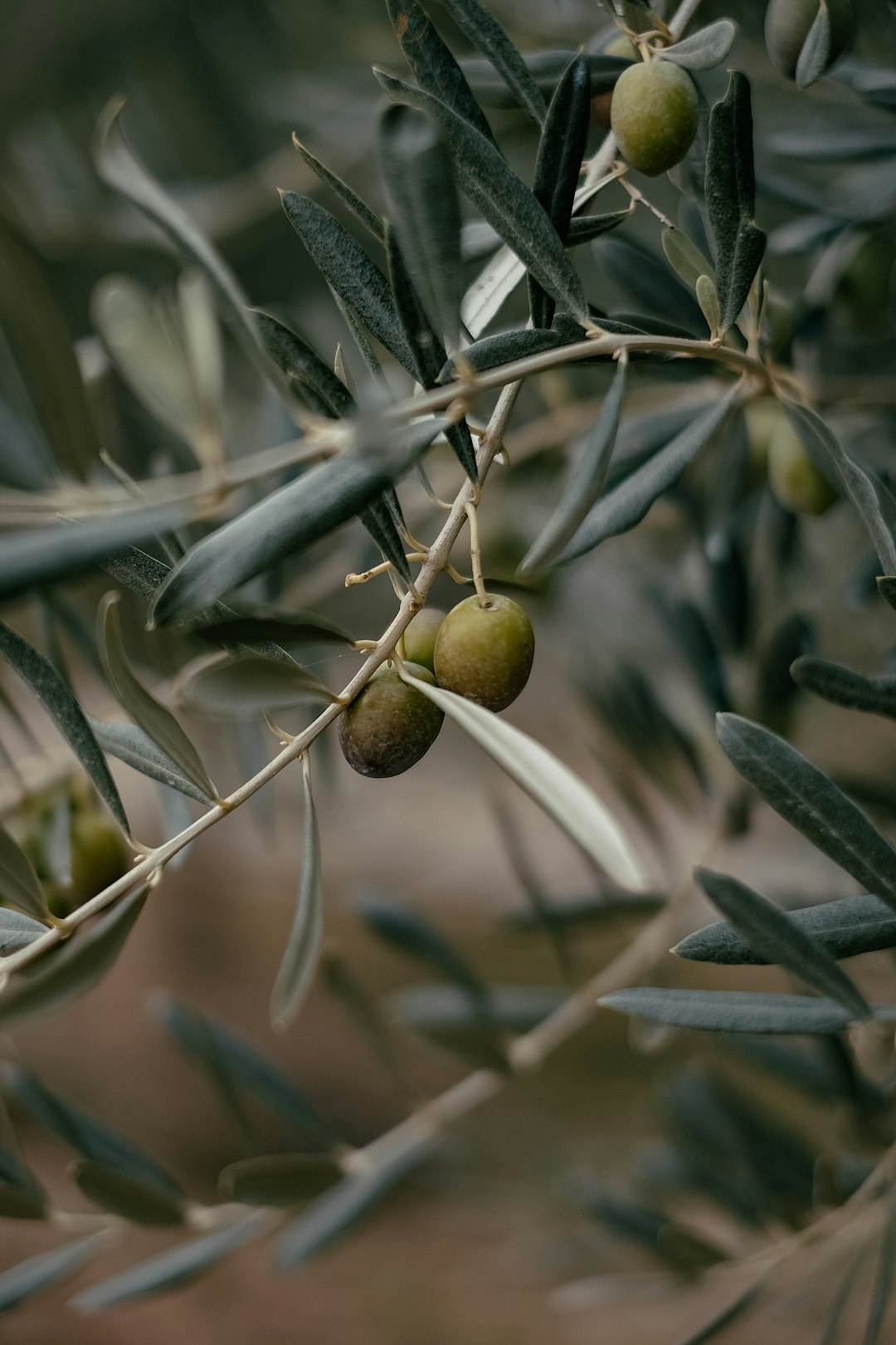 Photo by Emre on Unsplash
