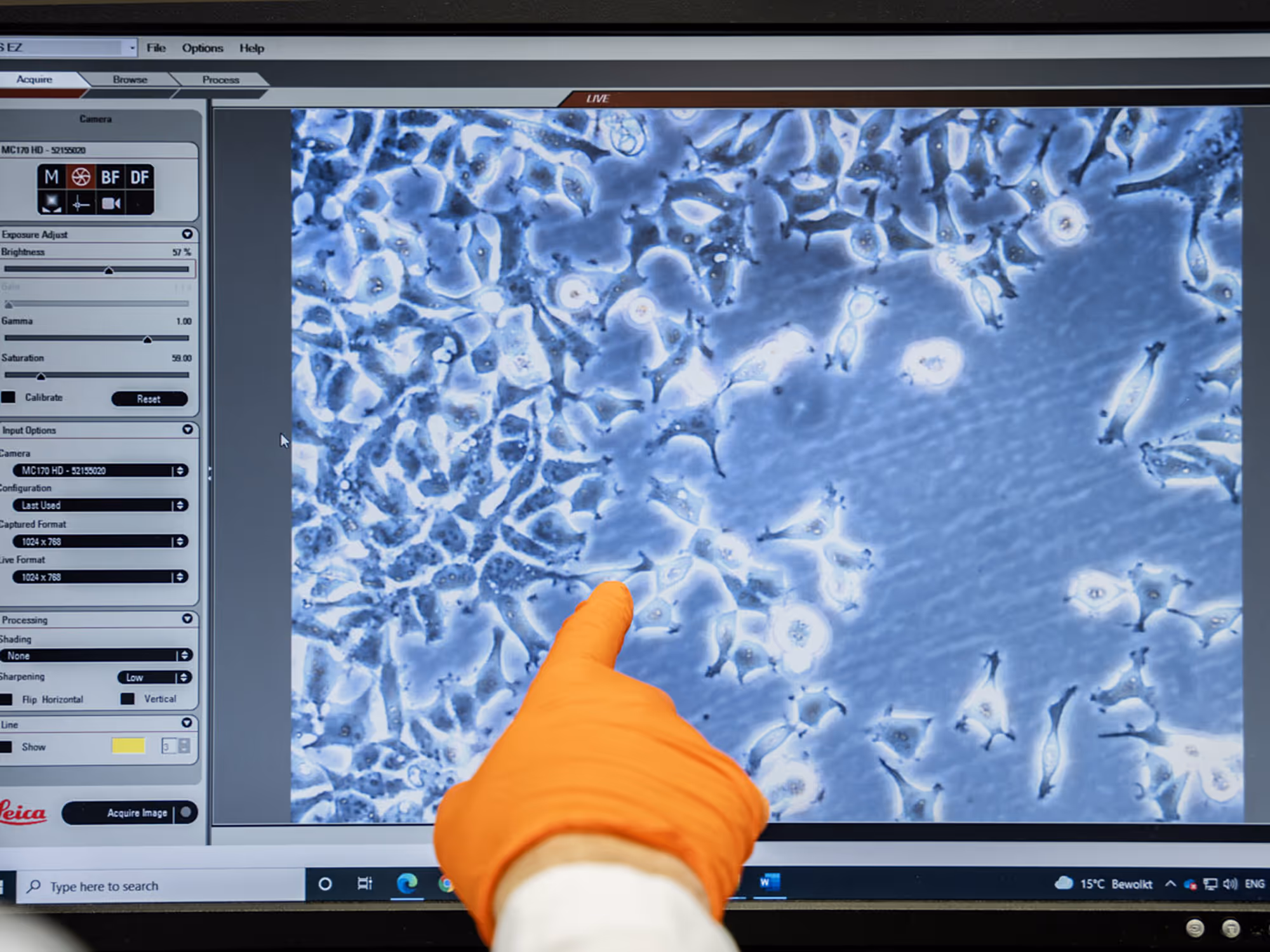 Antibody Characterization