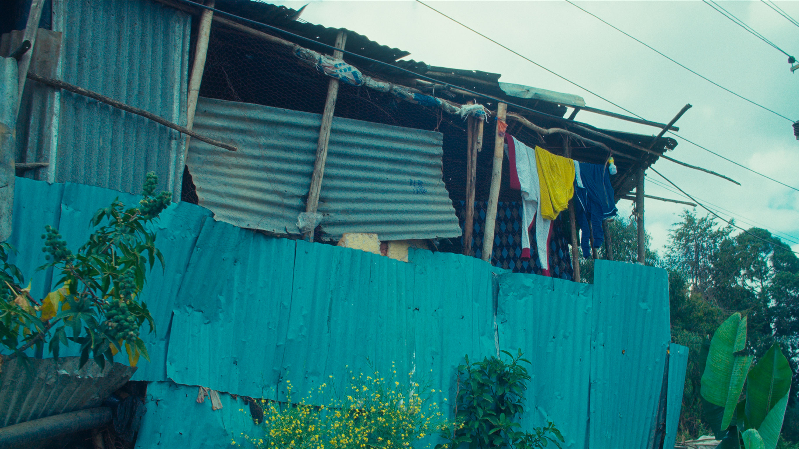 Misrach Center · MN International