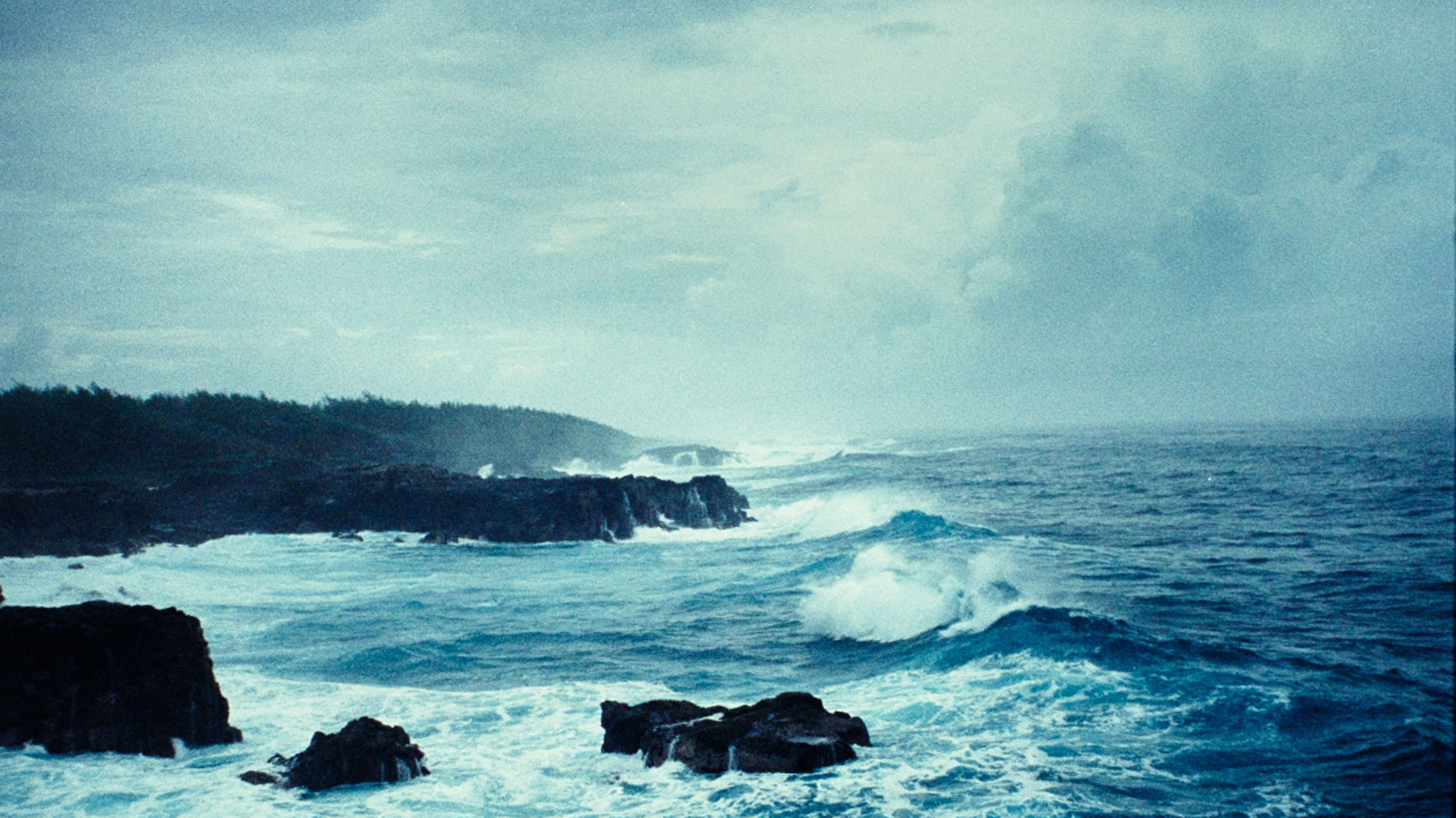 Nid Vil · Sherry-ou x Freshta