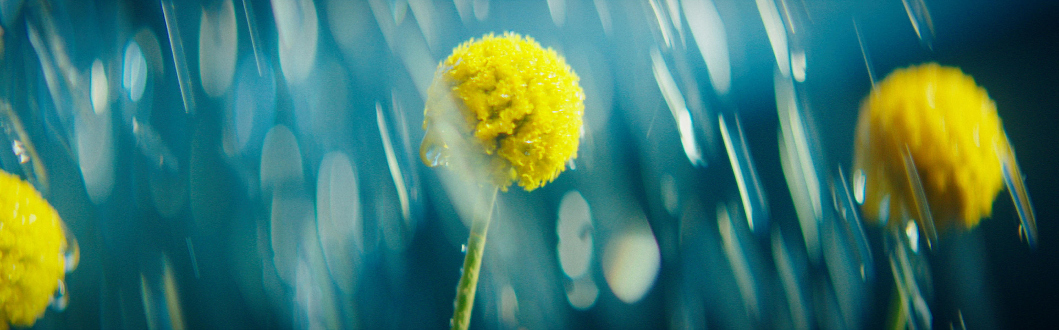 Rosalia Wenger Platz · Stadt Bern and SBB