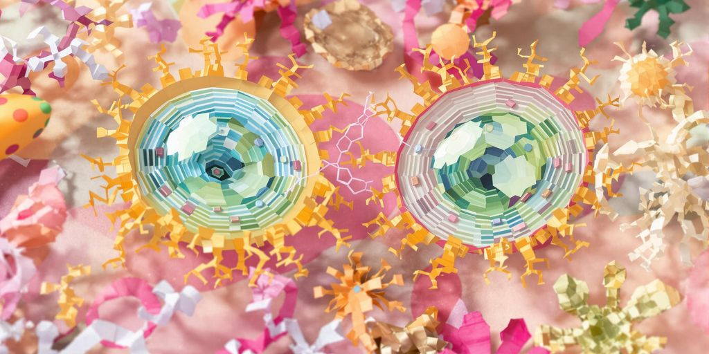 Unlock Cellular Regeneration with Peptide Support Solutions