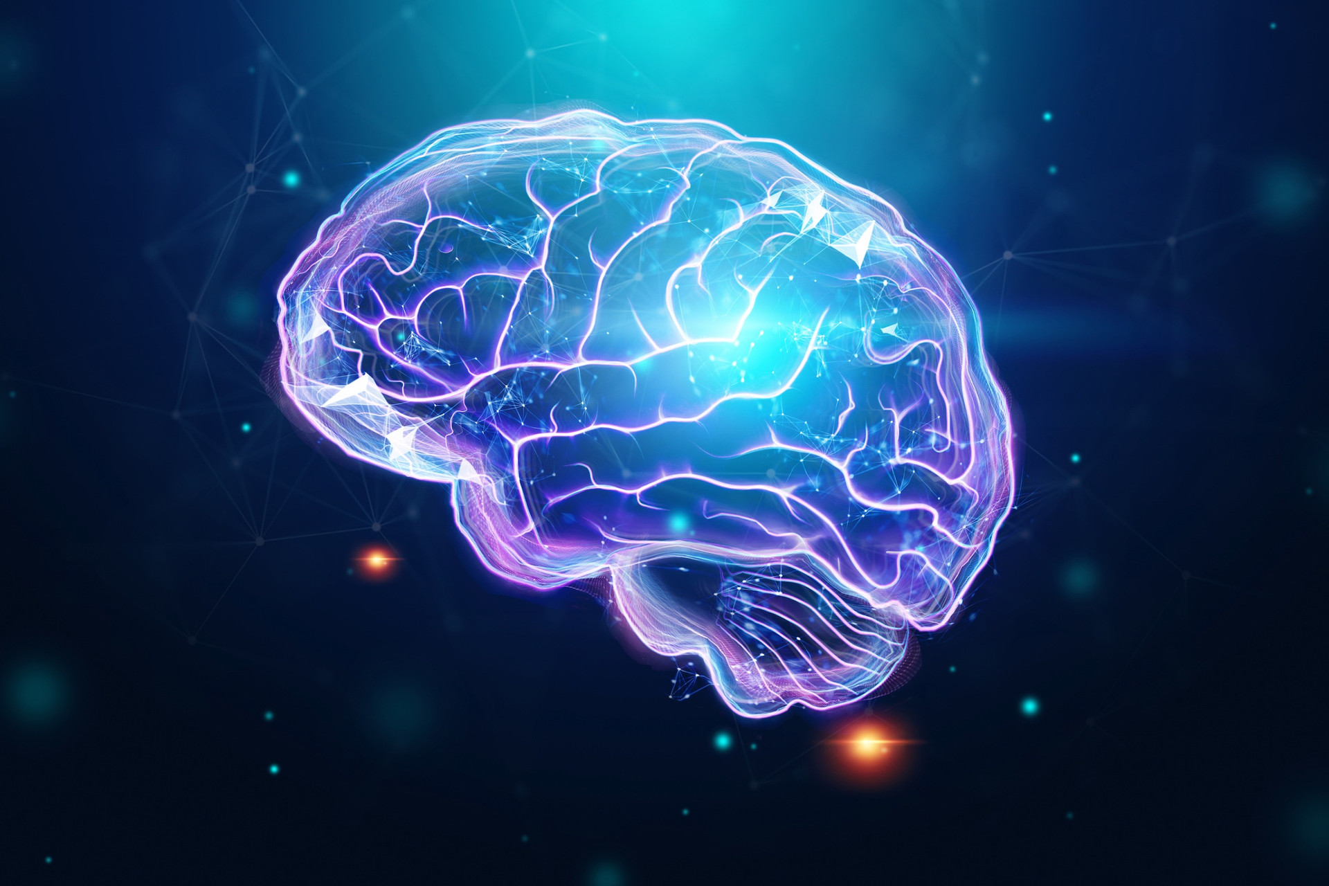 The 10 Most Common Brain Disorders: What Causes Them & What to Look For