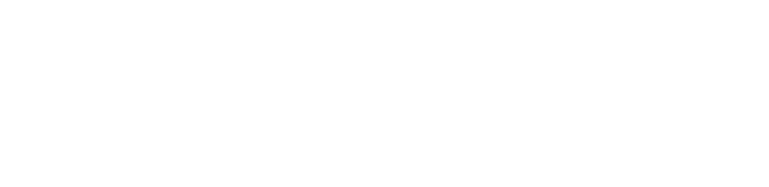Orginal Logo