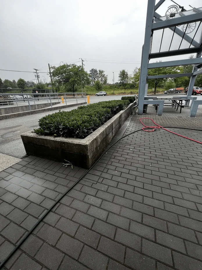 Dirty outdoor concrete planter and stained brick paver walkway with buildup before pressure washing.