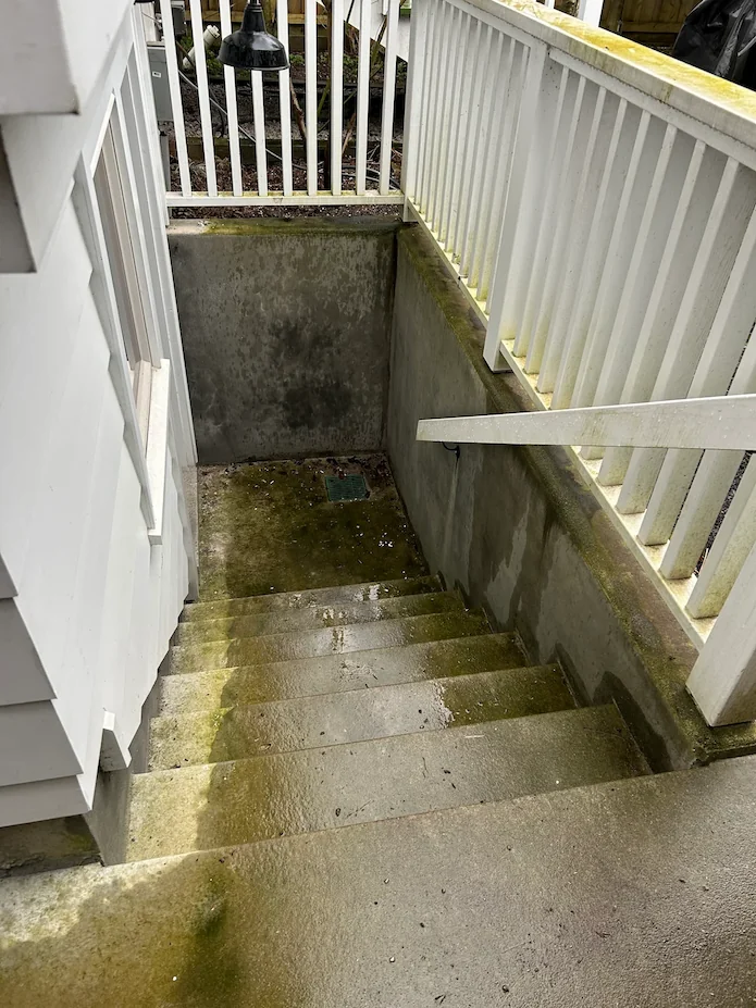 Dirty basement stairwell covered with moss and grime before pressure washing service.