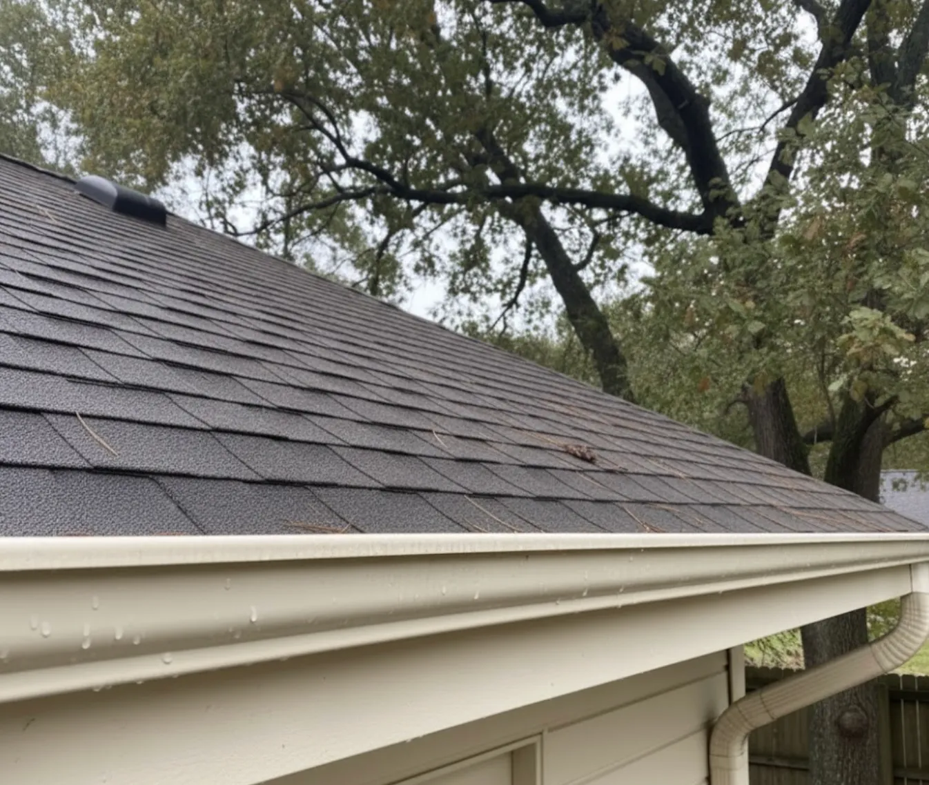 Close-up view of a gray shingled roof with a white gutter and downspout, with trees in the background.