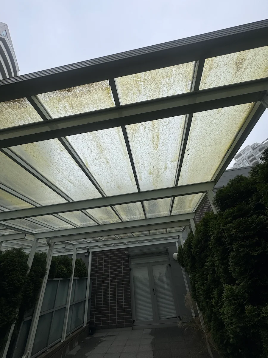 Glass awning after professional cleaning, restored to clear, transparent panels allowing full light through on a Vancouver property.