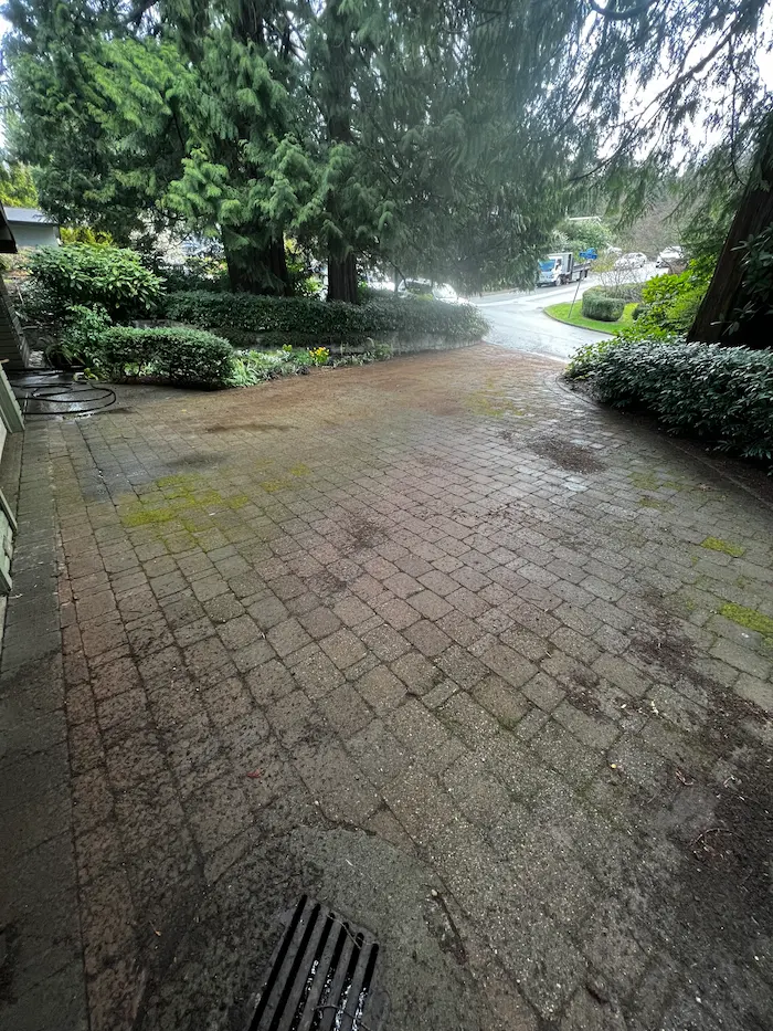 Brick driveway before pressure washing, showing dark oil stains, moss growth, and heavy surface grime buildup on pavers.