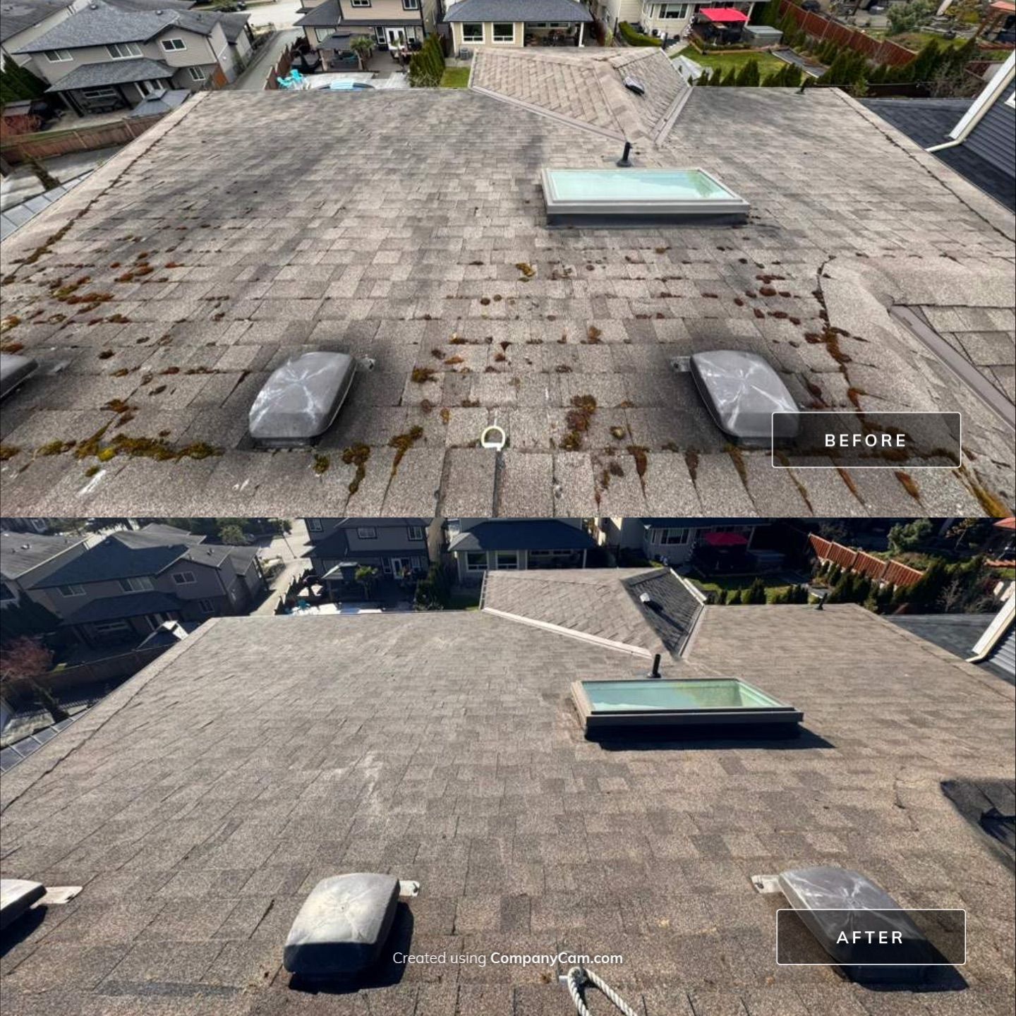 Asphalt shingle roof before and after cleaning by WashTech in Vancouver