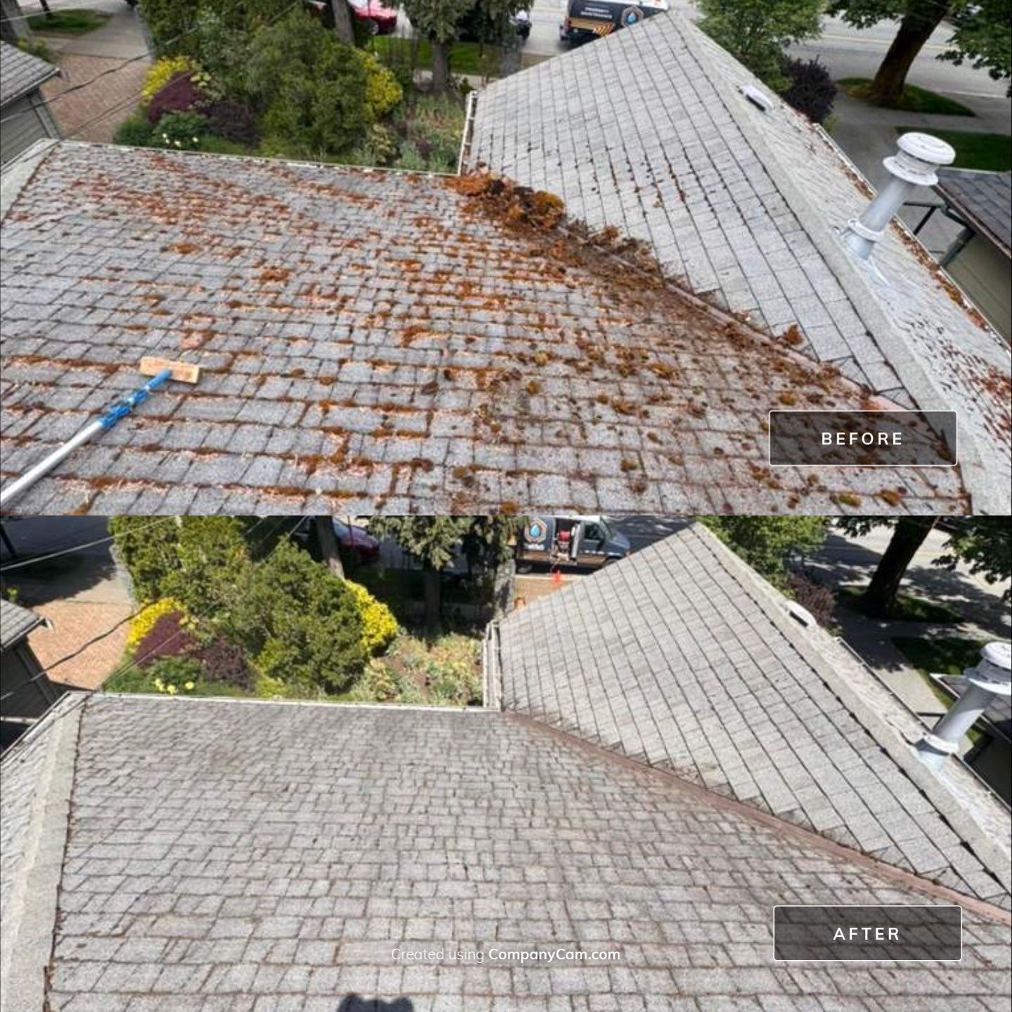 Asphalt shingle roof before and after cleaning by WashTech in Vancouver