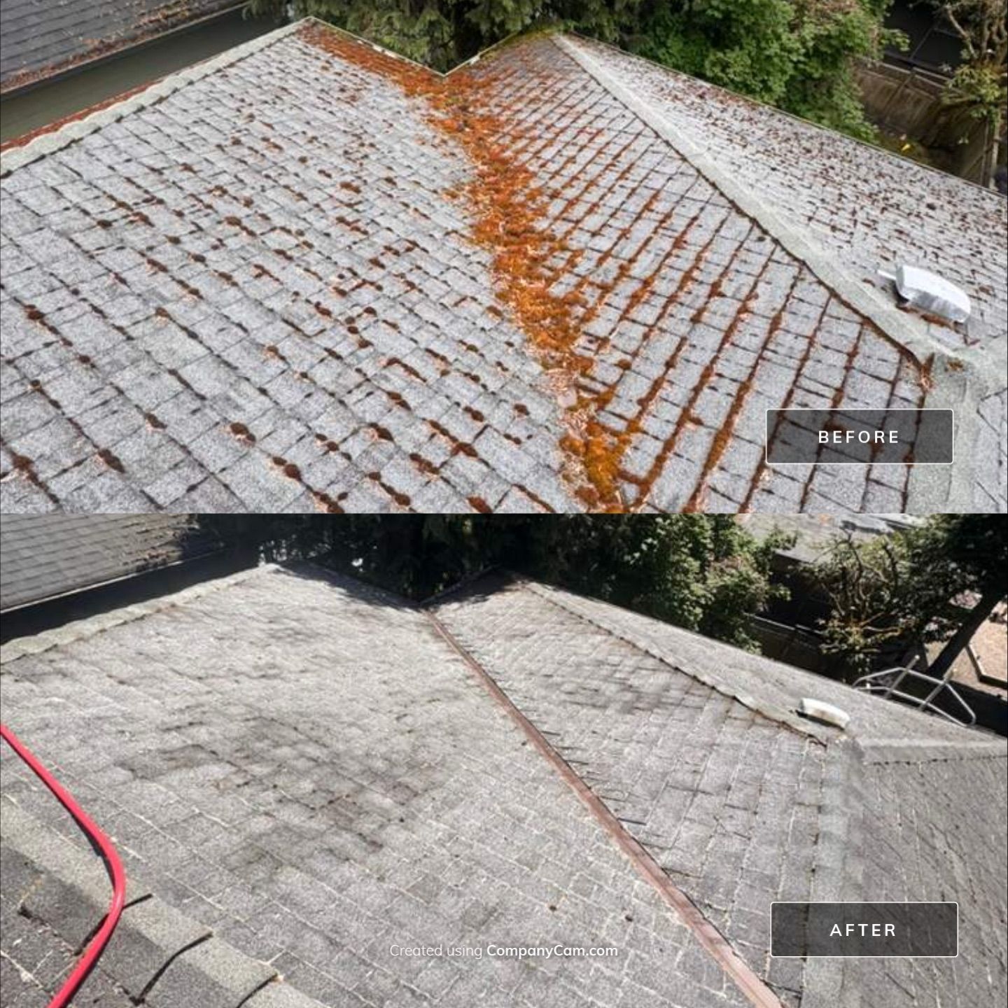 Asphalt shingle roof before and after cleaning by WashTech in Vancouver