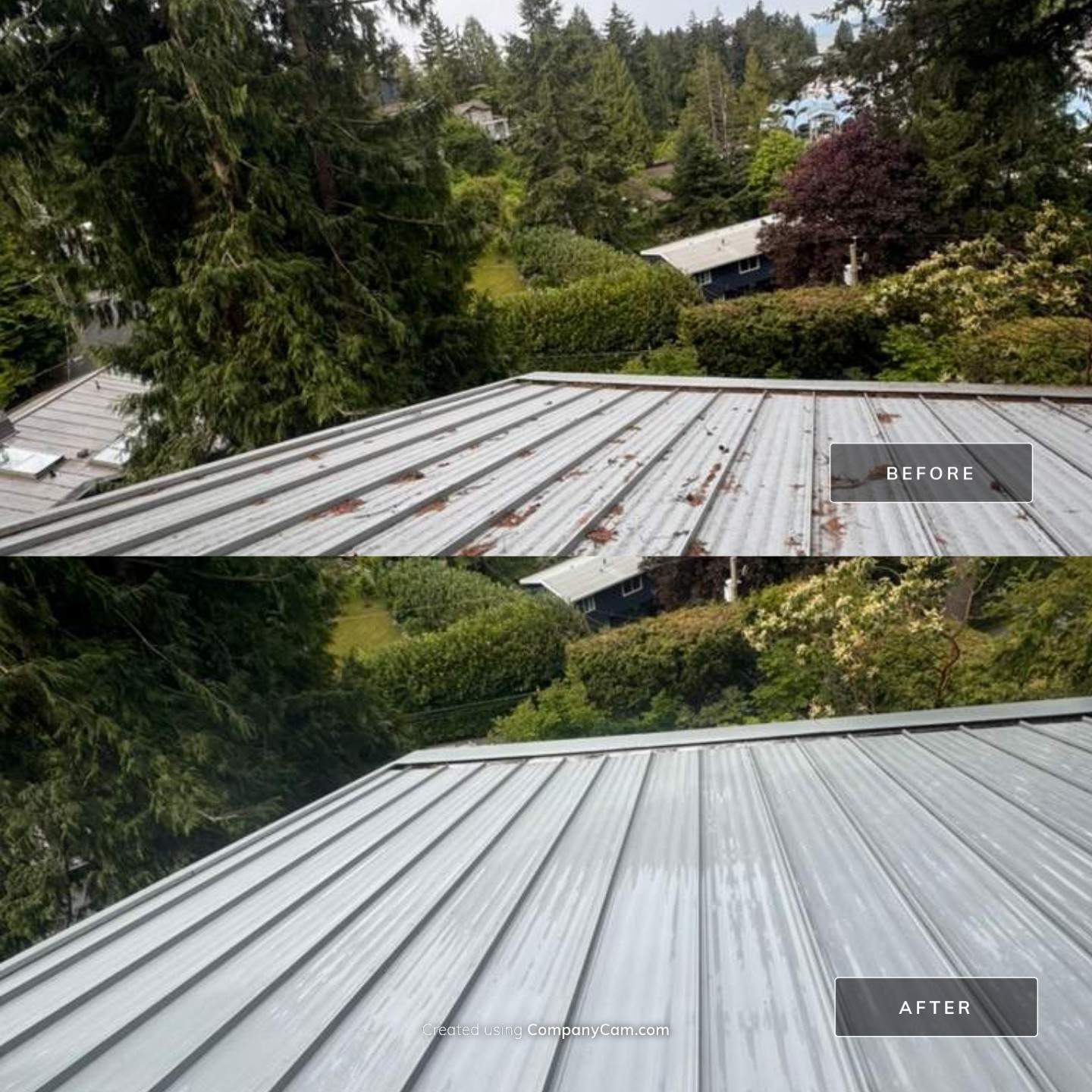 Metal roof before and after washing by WashTech in Vancouver