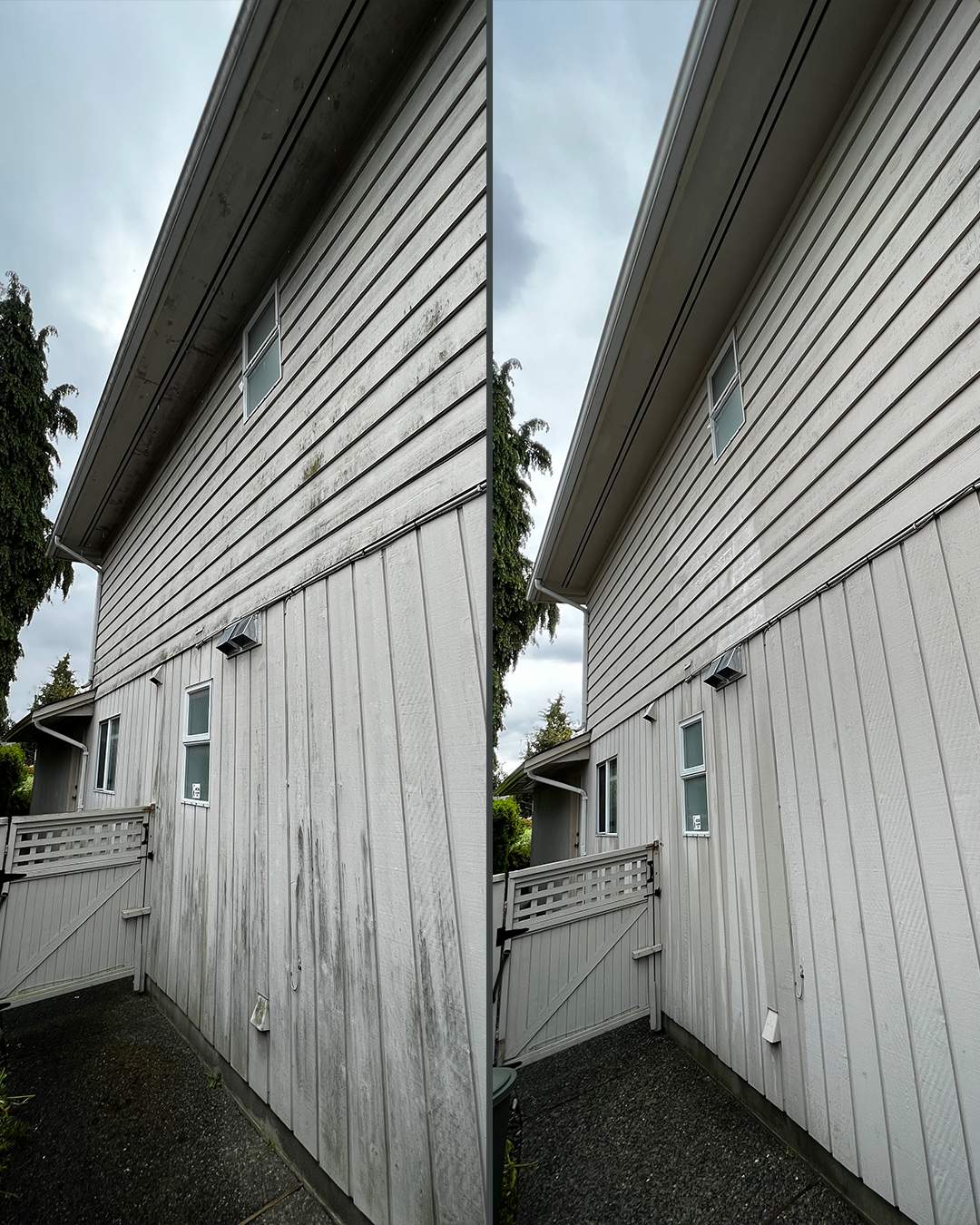 Painted wood siding before and after soft washing by WashTech in Vancouver