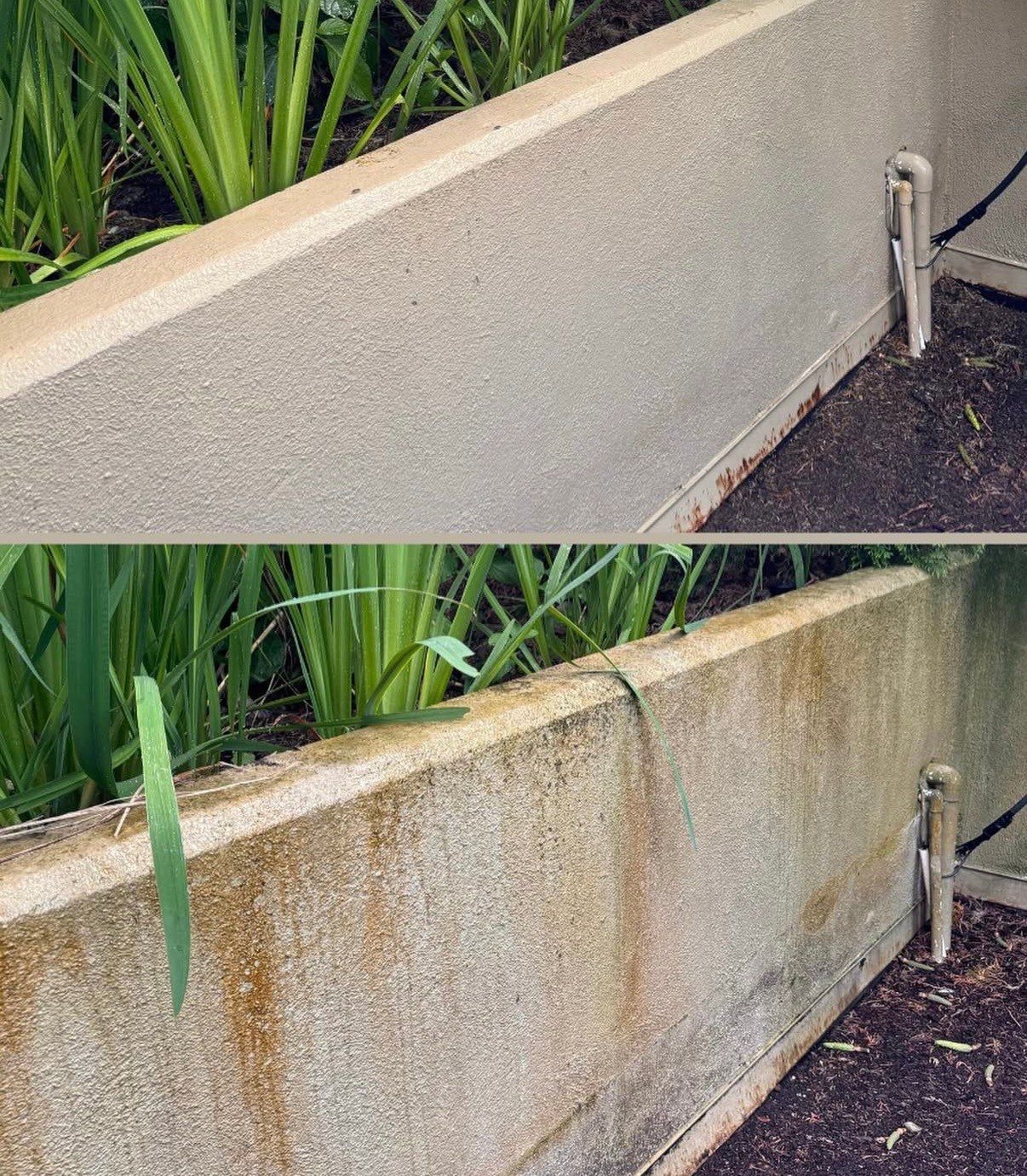 Stucco siding before and after soft washing by WashTech in Vancouver