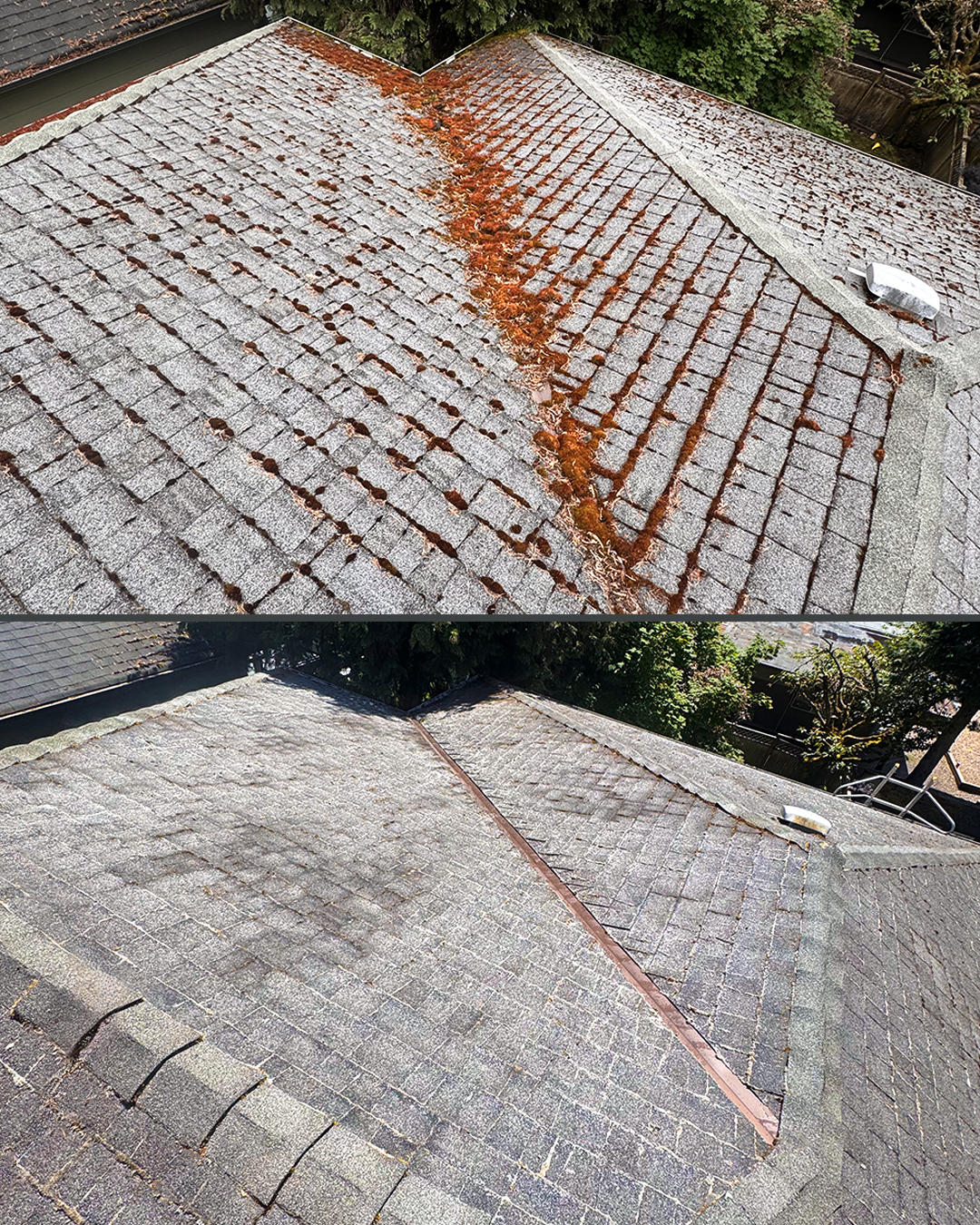 Asphalt shingle roof before and after cleaning by WashTech in Vancouver