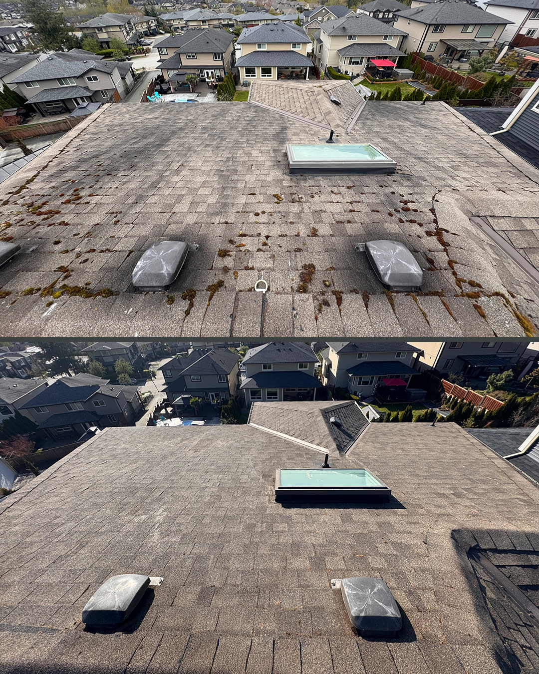 Asphalt shingle roof before and after cleaning by WashTech in Vancouver
