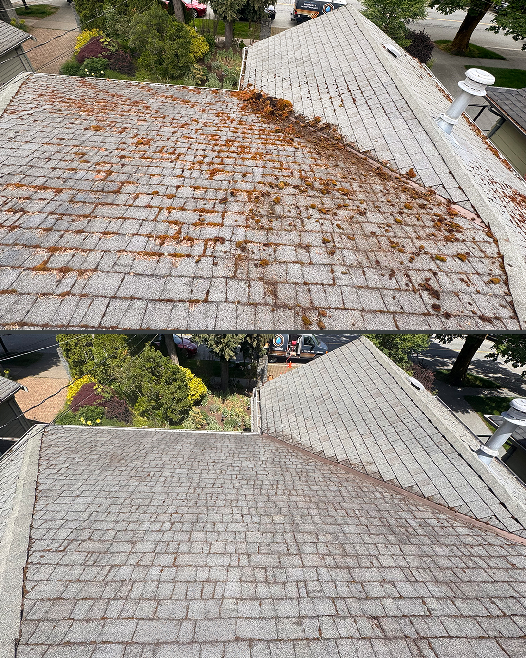 Asphalt shingle roof before and after cleaning by WashTech in Vancouver