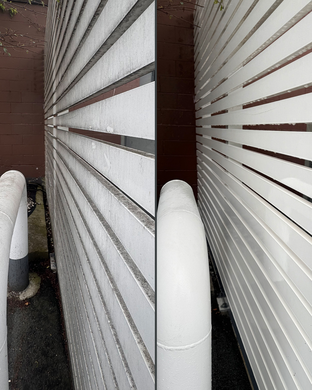 House siding before and after soft washing by WashTech in Vancouver