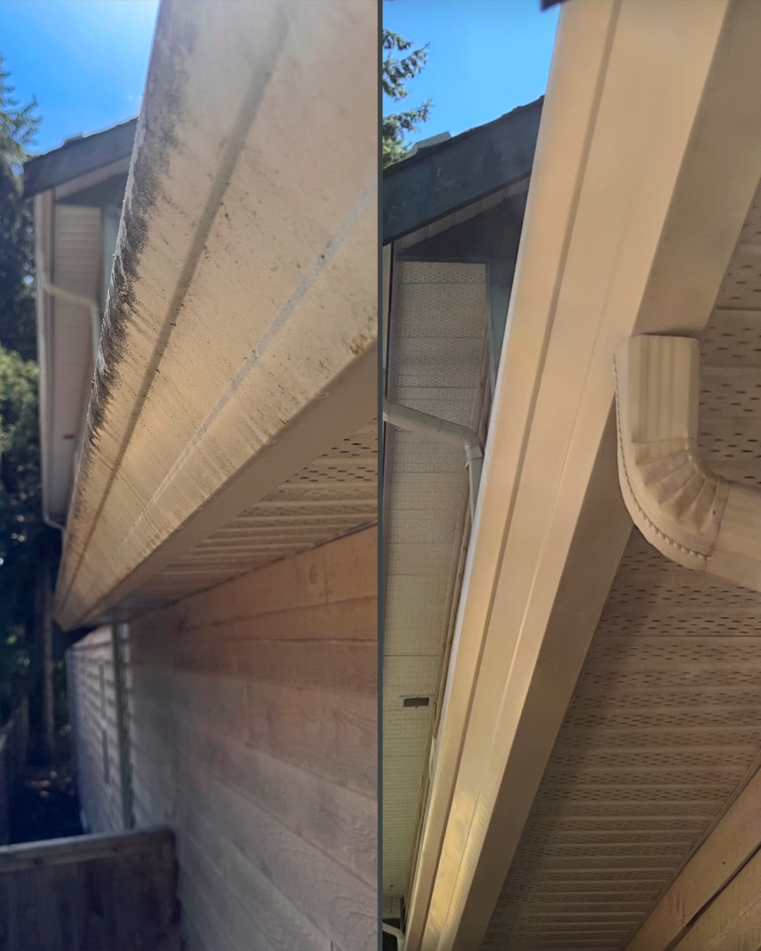 Painted wood soffit before and after soft washing by WashTech in Vancouver