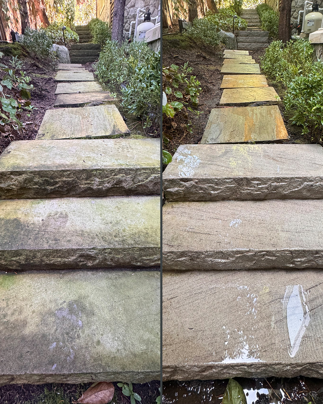 Stone steps before and after pressure washing by WashTech in Vancouver