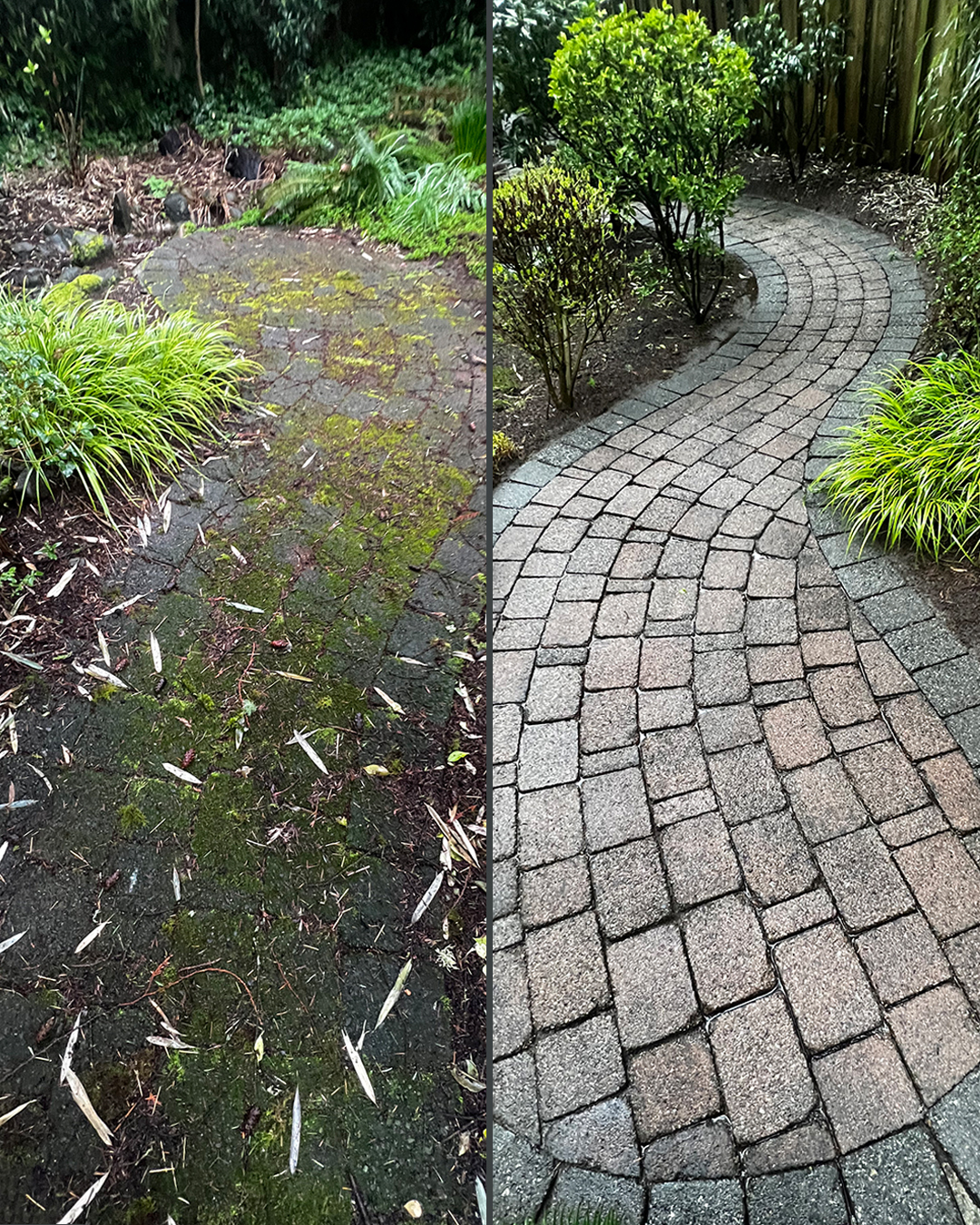 Paver walkway before and after pressure washing by WashTech in Vancouver