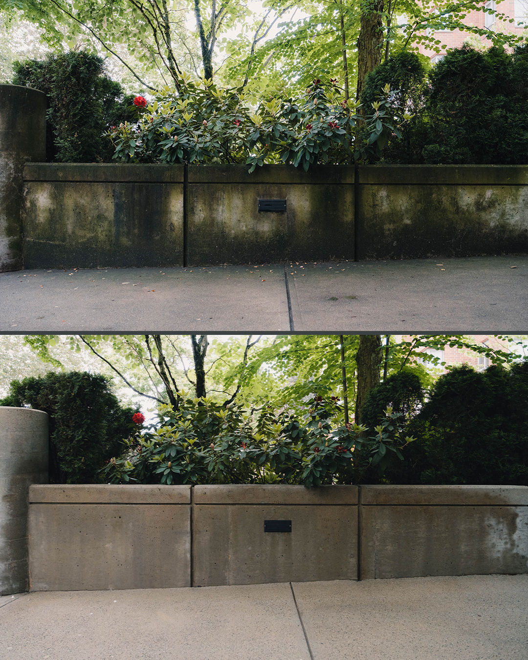 Concrete wall before and after pressure washing by WashTech in Vancouver