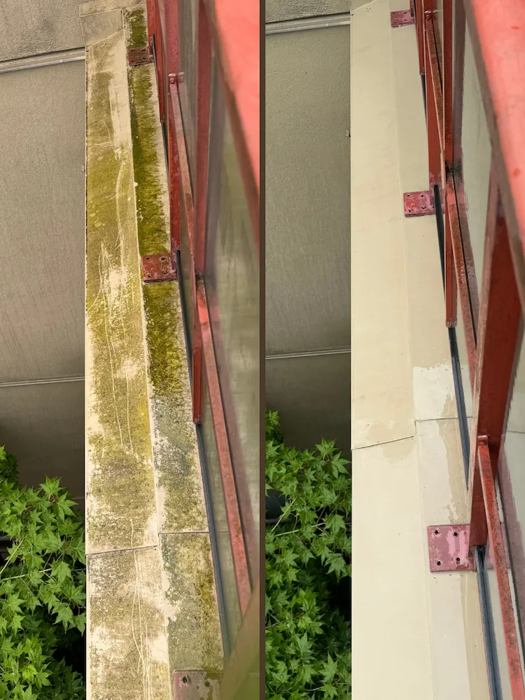 Side-by-side before and after comparison of commercial wall cleaning, showing removal of heavy moss and grime for restored surface.