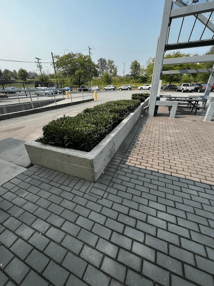 Clean outdoor concrete planter and brick paver walkway after professional pressure washing.