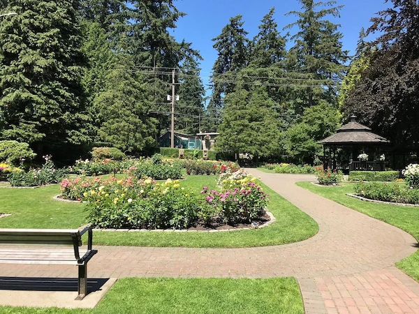 Queen’s Park rose garden in New Westminster; peaceful greenery maintained by trusted exterior cleaning professionals.