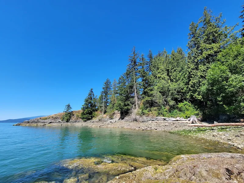 Kelvin Grove Beach in Lion’s Bay with clear blue water and rocky shoreline; trusted exterior and window cleaning experts.