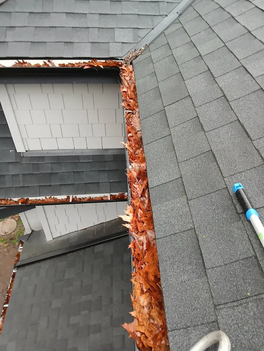 Multi-storey home with gutters that are clogged with leaves.